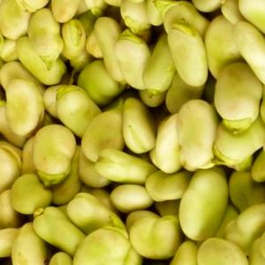 imagem para fava descascada